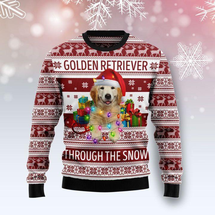 It's officially Christmas sweater season #goldenretrieverlife #dog